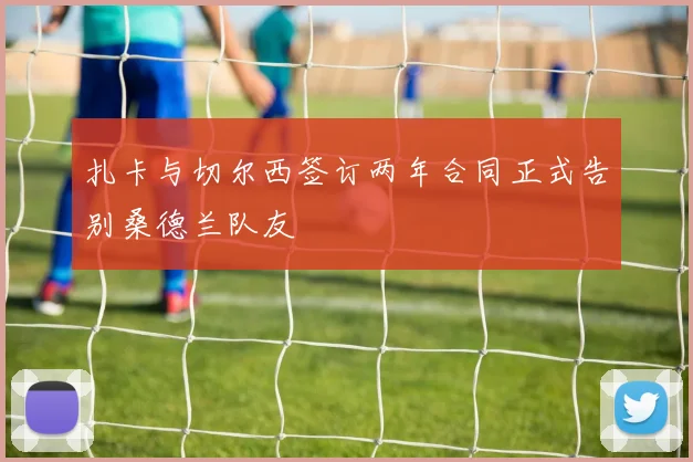 扎卡与切尔西签订两年合同正式告别桑德兰队友