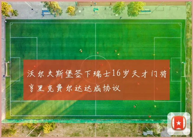 沃尔夫斯堡签下瑞士16岁天才门将亨里克费尔达达成协议